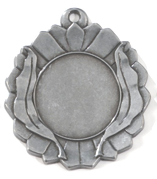 E 110 Medaille Zilver Groot LAATSTE OP=OP!!